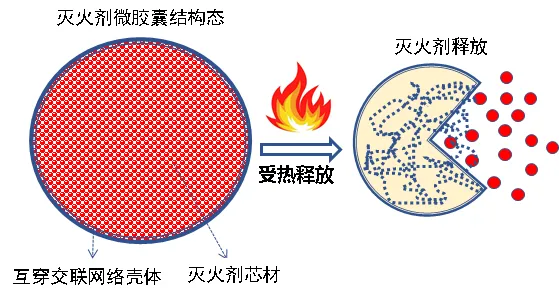 d7c5d721a1d2410aaeb62a9fb88b90a1